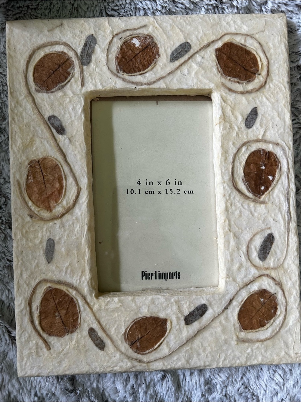 Pier 1 Cream Frame with Brown Leaf Accents